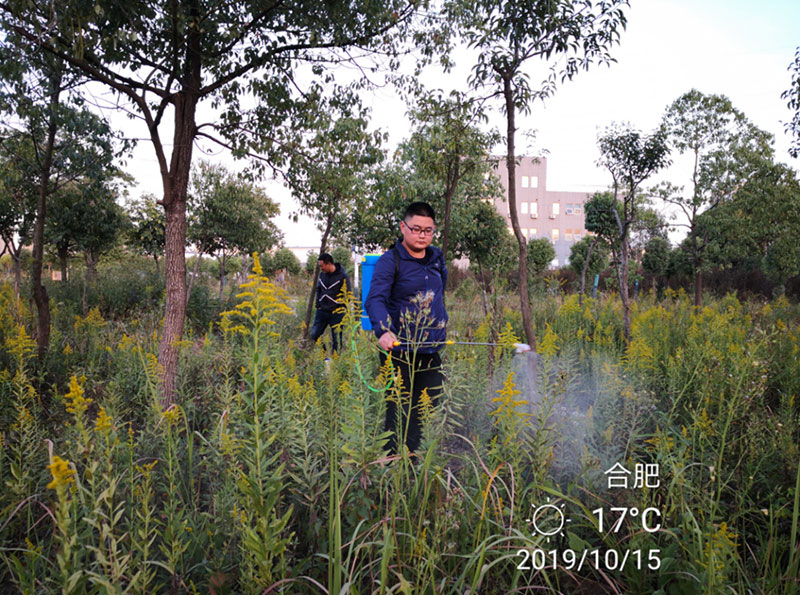 图片10.jpg