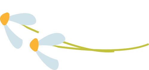 1709185141904748.png 1.png