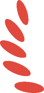 1727232668156251.png 1727232668156251.png