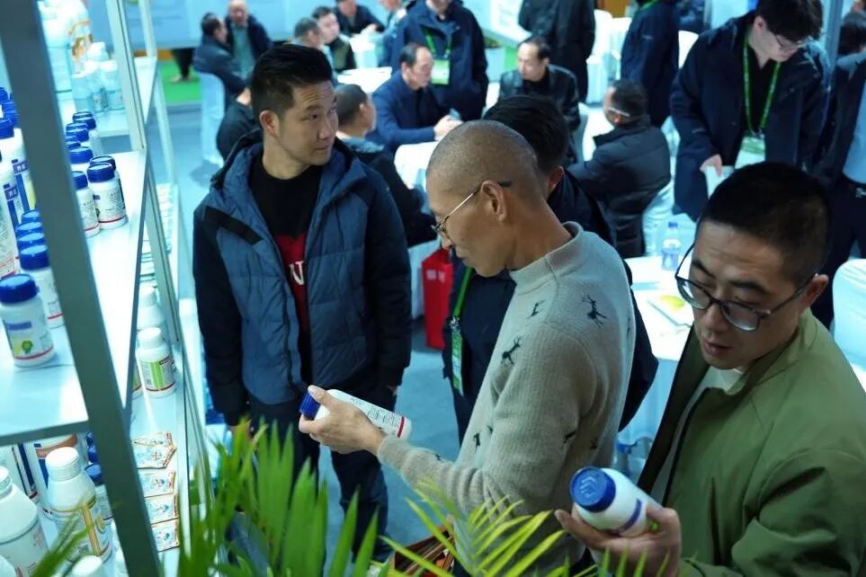 1764150823373956.jpg 8.jpg