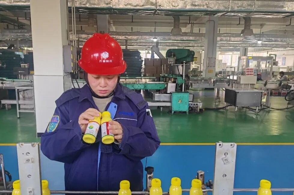 1767504645985638.jpg 1.jpg