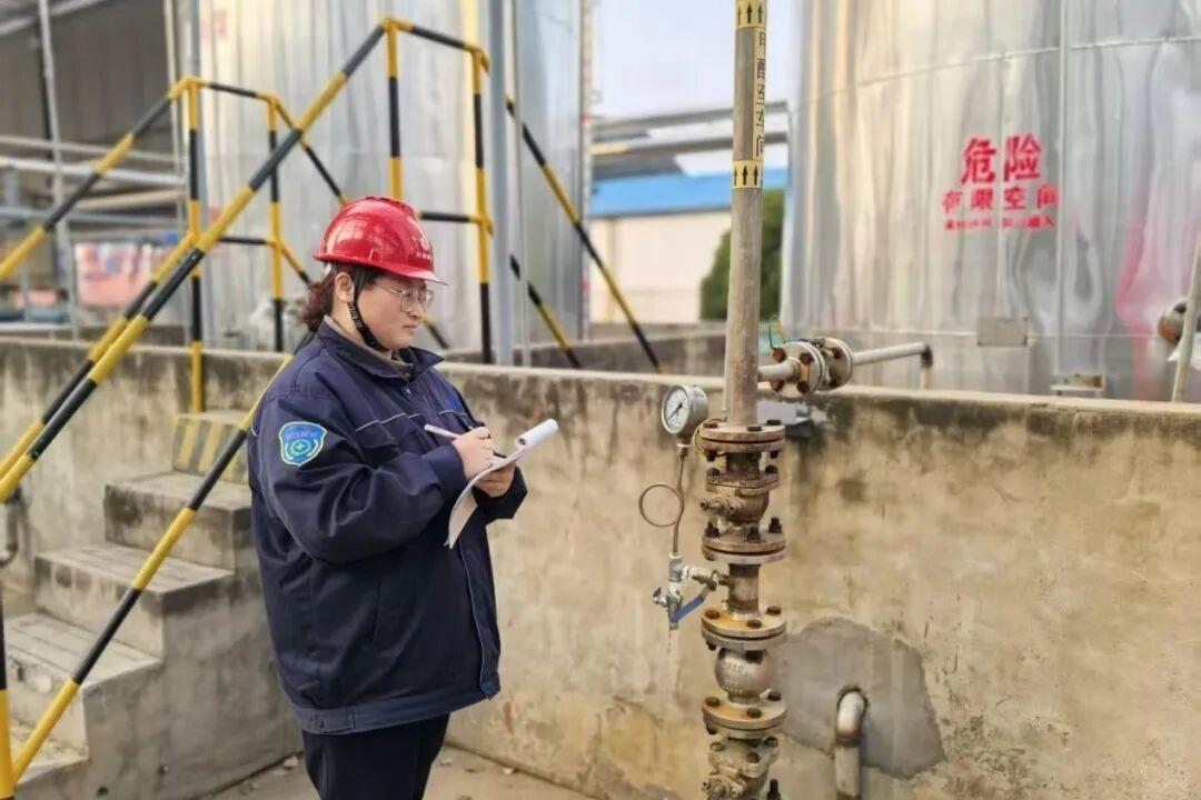 1767504659351141.jpg 2.jpg