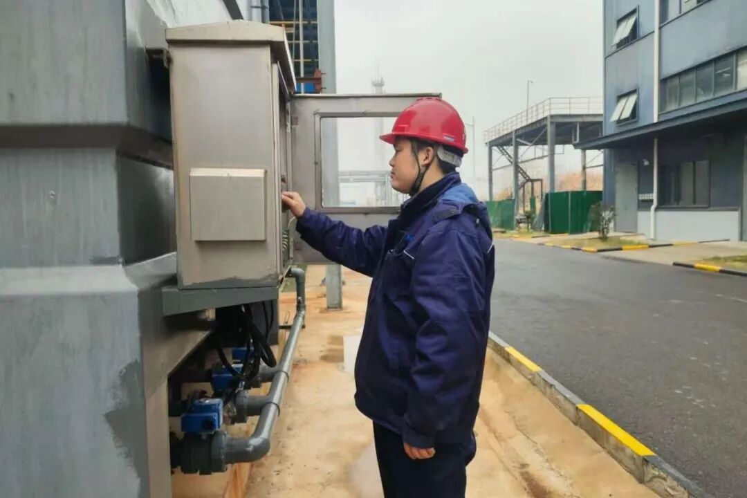 1767504736913908.jpg 10.jpg