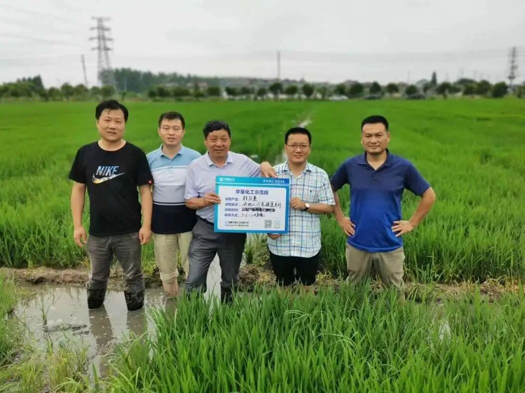 1774949340558223.jpg 2.jpg