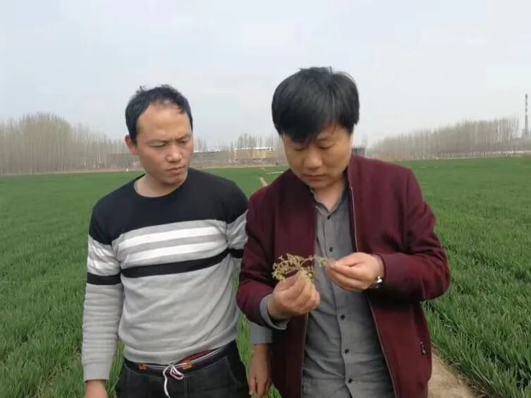 1774949349922804.jpg 640.jpg