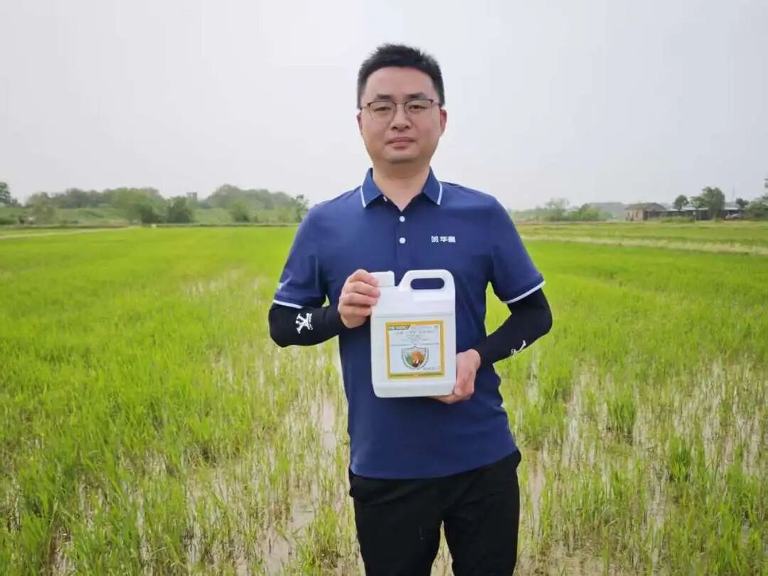 1774949491278398.jpg 1.jpg