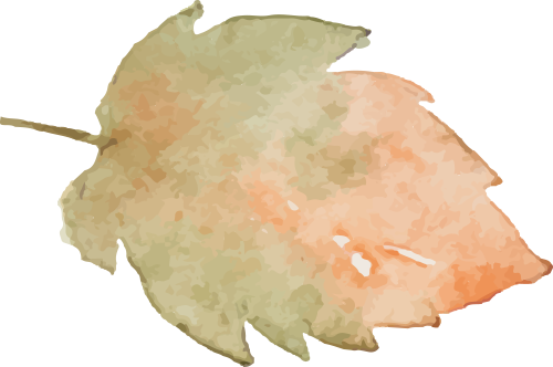 1790646812232718.png