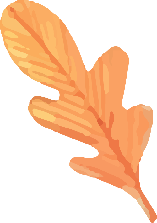 1792575666565519.png